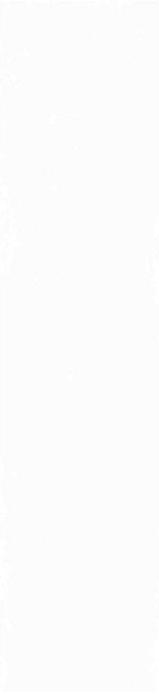 Плитка Magic White 5,85x24