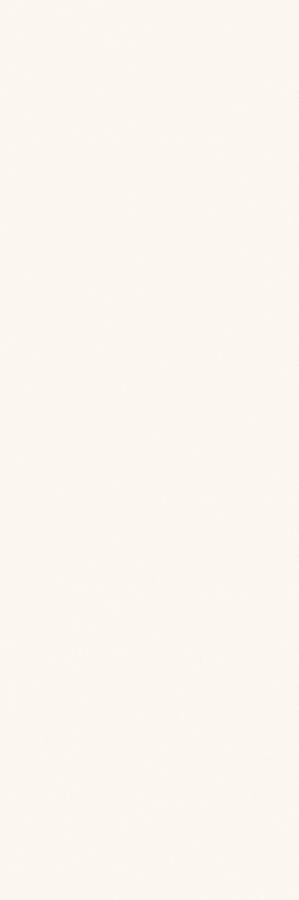 Плитка Eclettica White M1J3 40x120