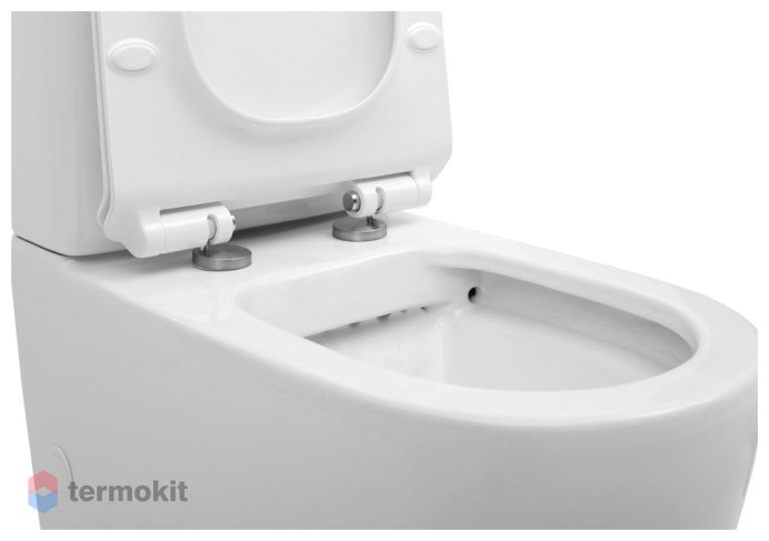 Чаша напольного унитаза Aquanet Rimless Cetus-C1 BL-102N-TPT