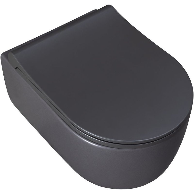 Чаша подвесного унитаза Allen Brau Priority 4.31002.AN антрацит