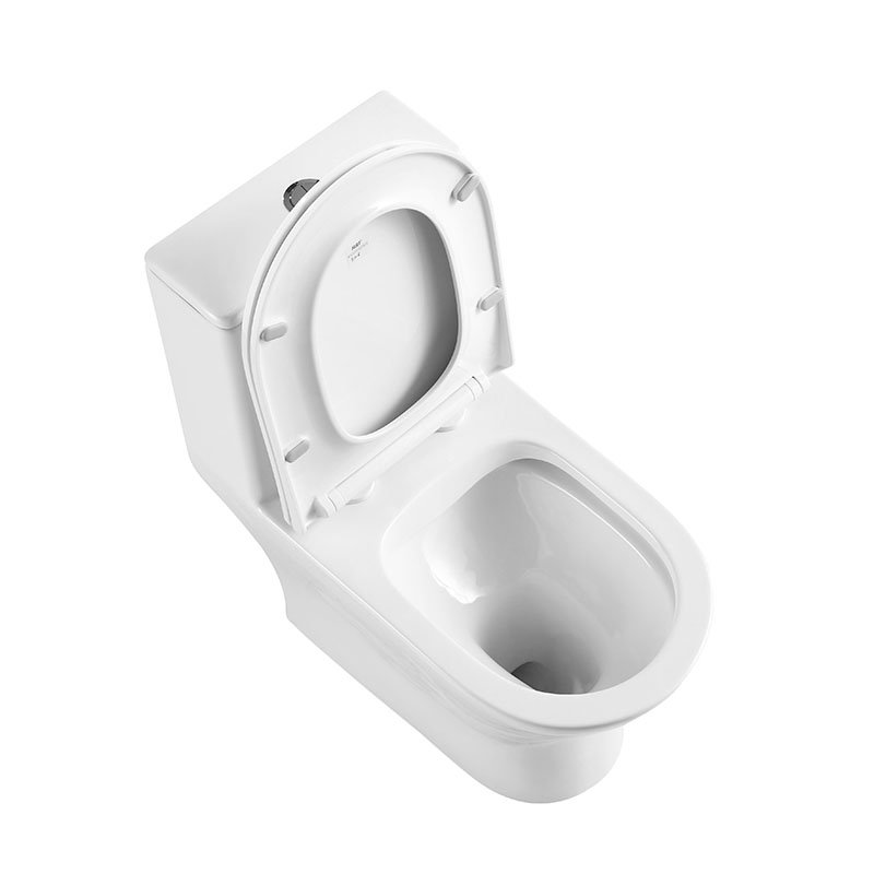 LOUNGE Унитаз-моноблок с сиденьем дюропласт soft close, P-trap BB8618CPR-MN/SC