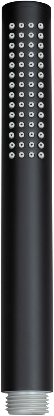 Душевая лейка Allen Brau Priority 5.31020-31 черный матовый