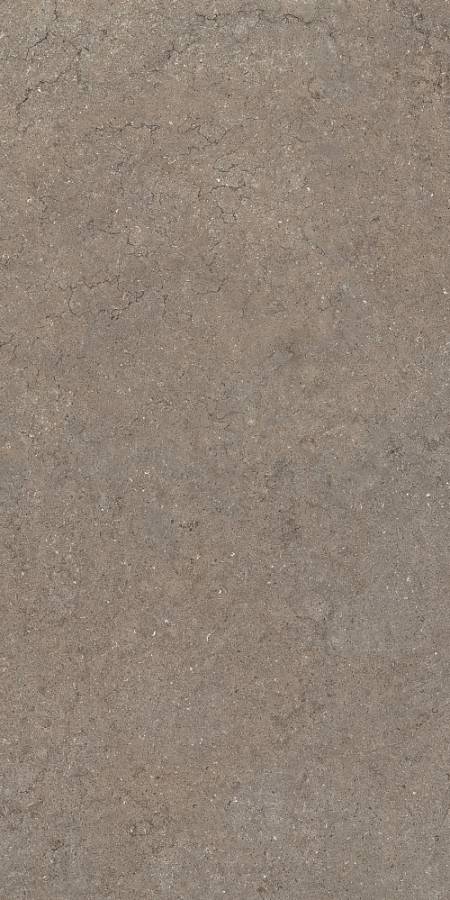 Дискавер Дезерт 60X120 Рет