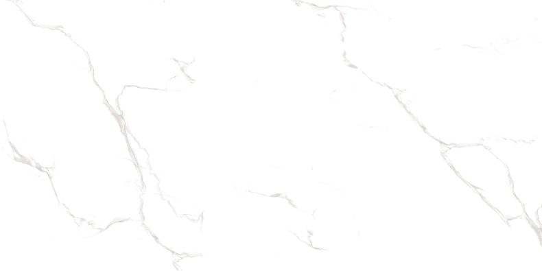 Duna/Velsaa - Керамогранит - Sisam White Glossy (Серия LIGHT)- 120х60 см