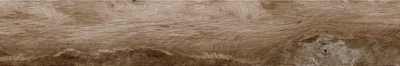 Woodmania - Керамогранит - Musk - 120x20 см